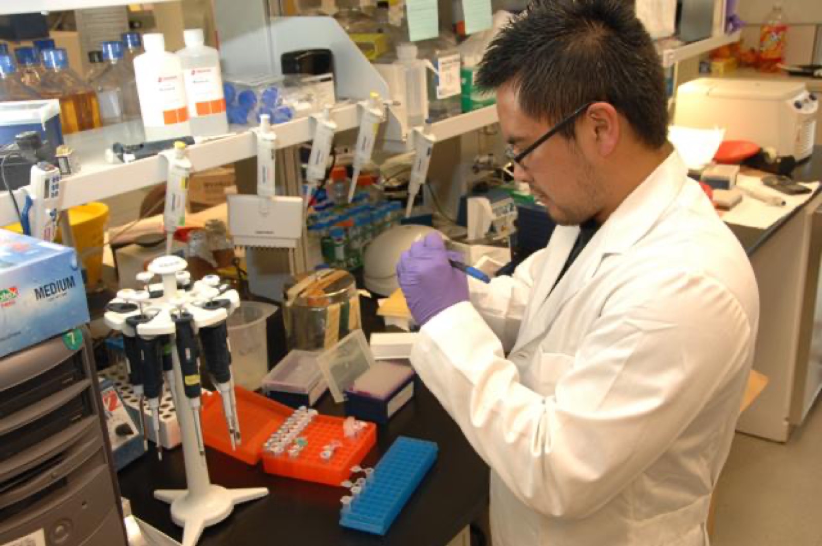 Scientist pipetting samples in a medical laboratory